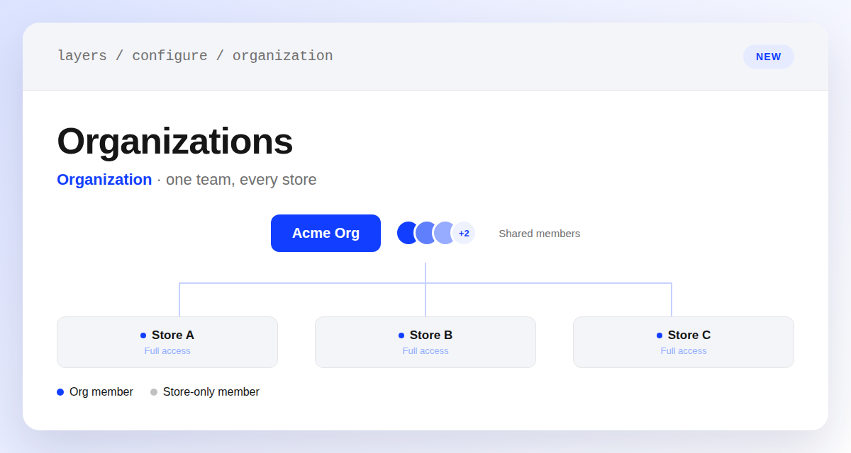 An organization node with shared team member avatars connected to three stores, each showing full access