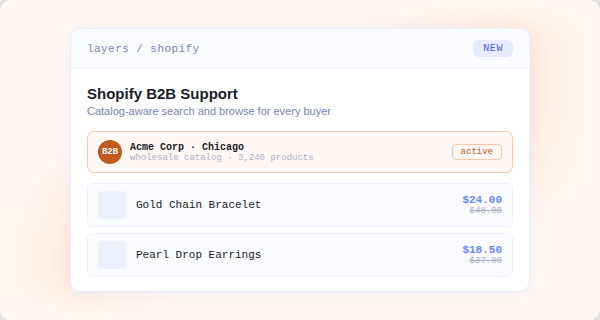 shopify-b2b-support.png