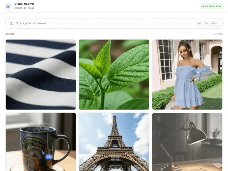 Visual search and shop-the-look placeholder
